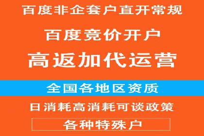 百度竞价广告投放的实战经验与案例分析